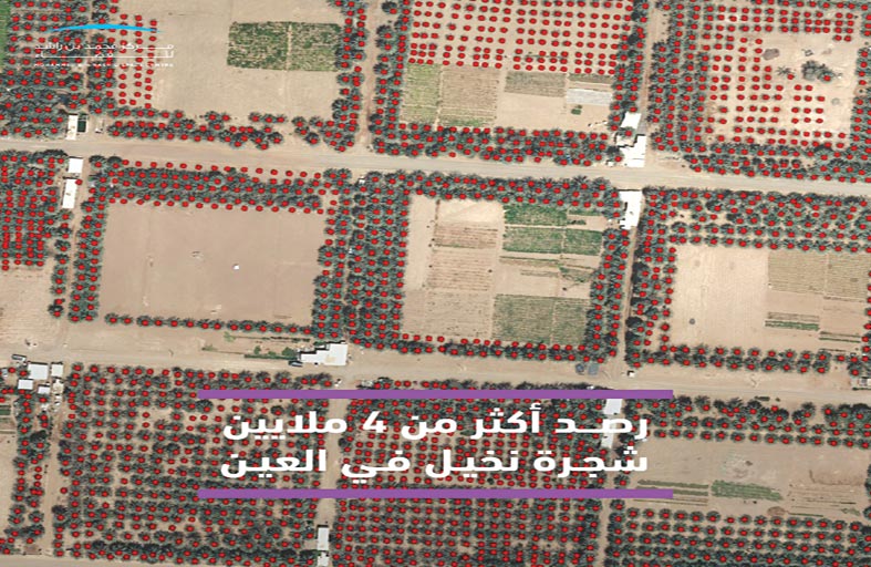 مركز محمد بن راشد للفضاء يرصد 4 ملايين شجرة نخيل في منطقة العين