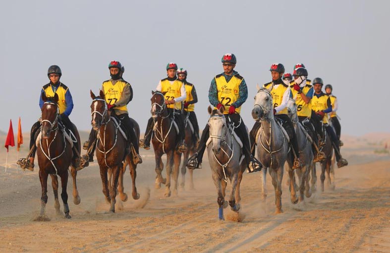 «دولي الفروسية» يشيد بجهود الإمارات في استضافة «مونديال القدرة»