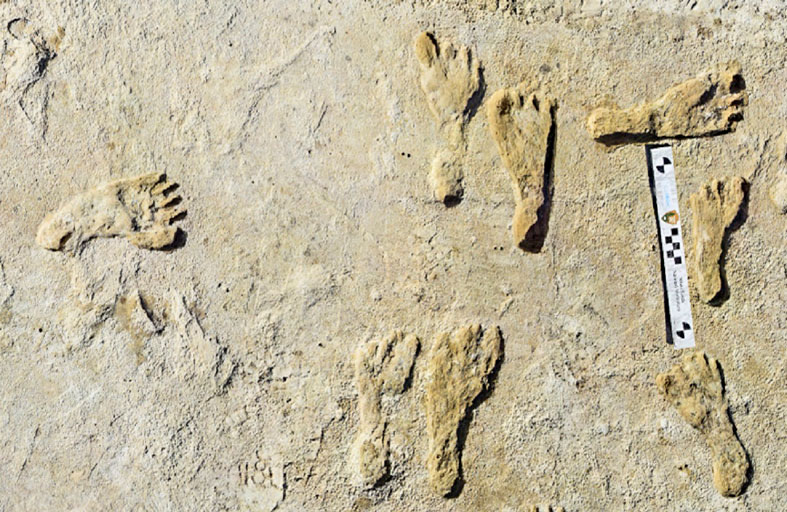 اكتشاف آثار أقدام عمرها 23 ألف سنة