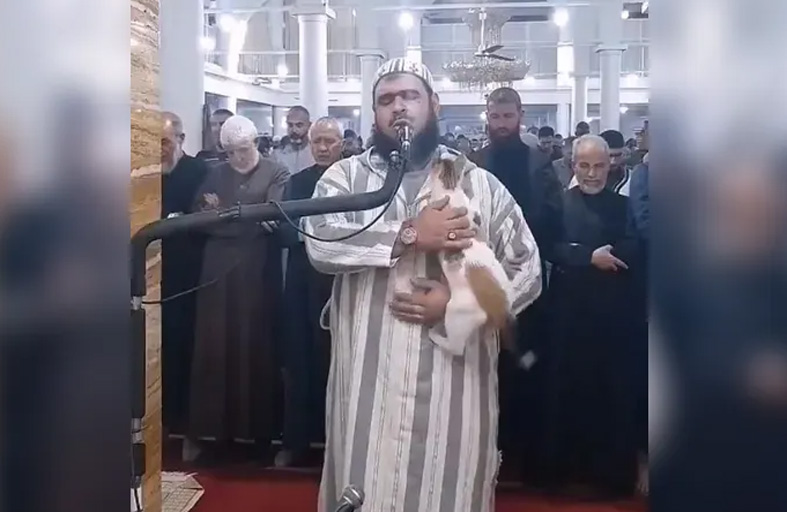 قطة على كتف الإمام في صلاة التراويح