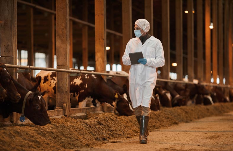 مزارع العين تنضم لمنصة DUBUY.com من خلال شبكة «دي بي ورلد» العالمية