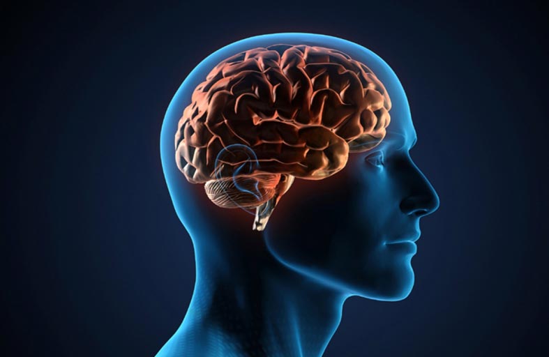 تقنية جديدة تقيس الاختلالات في كيمياء المخ 