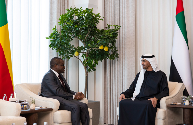 رئيس الدولة يؤكد اهتمام الإمارات بتعزيز تعاونها في المجالات التنموية مع دول القارة الإفريقية 