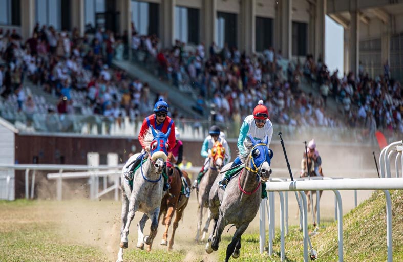 الجواد «لاجارديه» يحرز لقب كأس الوثبة للخيول العربية في رومانيا