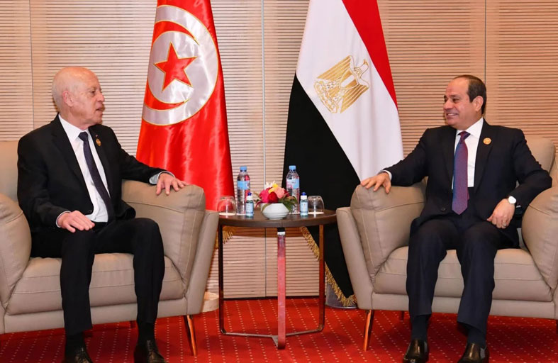 سعيّد للسيسي: نتطلع للاستفادة من تجربة مصر الناجحة