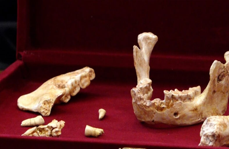 عظام بشرية تعود لـ773 ألف عام في المغرب 