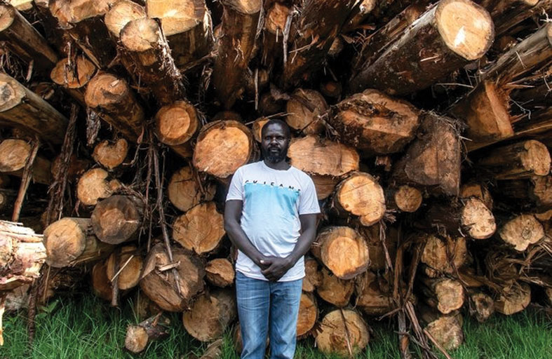 إلغاء حظر قطع الأشجار يقسم كينيا 