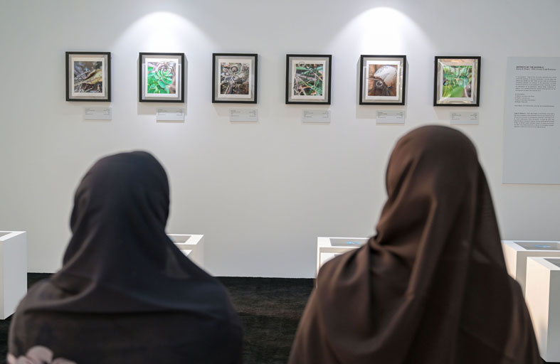 معرض (سرديات المكان... رؤى منقحة) في منارة السعديات