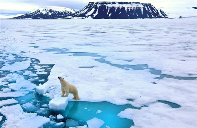 أنباء سيئة تأتي من القطب الشمالي نتيجة التغير المناخي