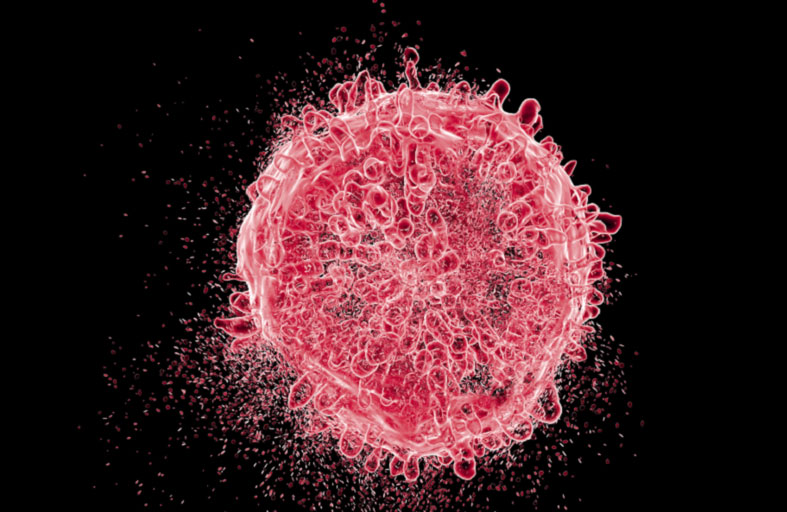 مركبات طبيعية مضادة للشيخوخة قد تسرّع نمو السرطان