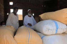 مع تفاقم أزمة القمح.. العالم مهدد بأزمة غذائية قاسية