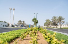 تعزيز كفاءة أصول التجميل الزراعي الطبيعي في شارع الفلاح