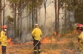 أستراليا تقلل مستوى  التحذير من حرائق الغابات 