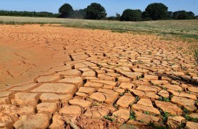 الجفاف يكبد أوروبا خسائر زراعية كبيرة