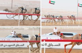 منافسات الحول والزمول تُسدل الستار على التمهيدي الثاني لمهرجان العين للهجن 2026 