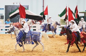 مهرجان تراثي حي ينطلق صباح اليوم يتضمن مُسابقات للجَمال والمزادات وعروض الصقور والخيول والإبل والسلوقي والكلاب البوليسية والرماية التقليدية