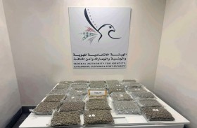 إحباط 14 محاولة لتهريب أكثر من 300 كيلو جرام من المخدرات في مطارات الدولة