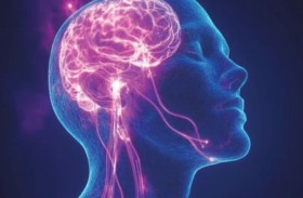 الملاكمة الاحترافية تضعف تخلص الدماغ من النفايات