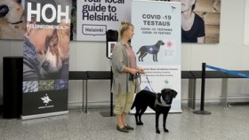 الكلاب لاكتشاف المصابين بكورونا بهذا المطار