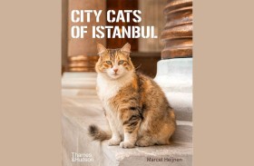 كتاب يوثق حياة قطط إسطنبول