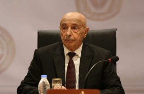 هل تنجح مباحثات صالح وتكالة بالقاهرة في كسر الجمود السياسي الليبي؟