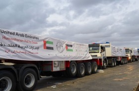 دخول قافلتي مساعدات إماراتية إلى قطاع غزة تحملان 259 طنًا من المواد الغذائية