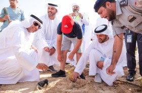 بلدية مدينة أبوظبي تزرع 1000 شتلة من القرم بجانب حديقة النباتات الملحية في الشليلة