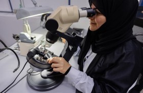 52 ألف زيارة رقابية لبلدية دبي على قطاعات البيئة والصحة والغذاء خلال النصف الأول