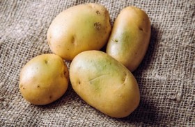 خطأ يؤدي إلى تحول البطاطس للون الأخضر