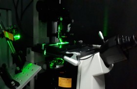 باحثون من جامعة نيويورك أبوظبي يدرسون آثار تزاحم البروتينات الحركية على نظام النقل في الخلية