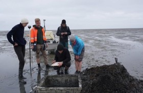 ظهور مدينة ألمانية اختفت منذ 700 عام 