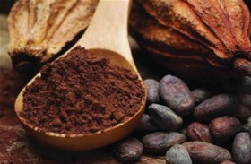 فائدة صحية مدهشة يقدمها الكاكاو للرجال