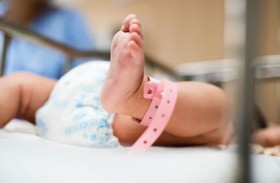 كلب شارد يجر طفلة حديثة الولادة داخل كيس