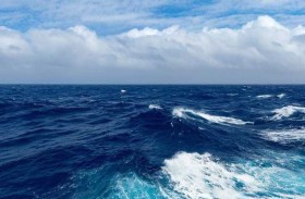 نجاة زوجين بعد 66 يوماً في المحيط