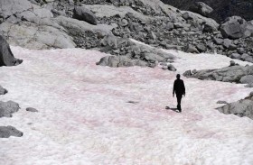 جليد زهري على جبال الألب الإيطالية