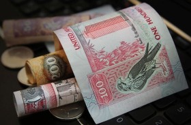 85.6 مليار درهم رصيد تسهيلات بنوك الإمارات للشركات الصغيرة والمتوسطة بنهاية النصف الأول