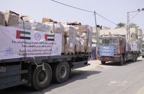 «الفارس الشهم 3» تدعم القطاع الصحي في غزة بشحنة أدوية ومستلزمات طبية