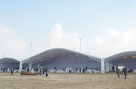 عروض قوية ومثيرة في افتتاح النسخة الثالثة من بطولة الظفرة لجمال الخيل العربية 