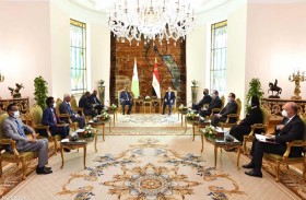 بين الأمن والاقتصاد.. تفاصيل لقاء السيسي ورئيس جيبوتي