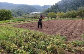 شحّ المياه والحرائق يثقلان كاهل سكّان عكار اللبنانية