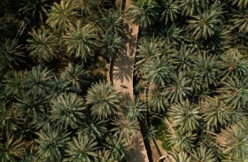 «ثقافة وسياحة أبوظبي» تفتح باب التقديم لبرنامج LanD 2027