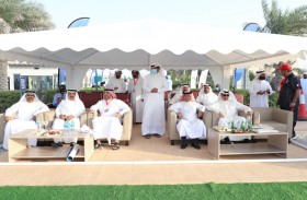 أبطال الإمارات يحصدون الميداليات الذهبية الست ويتوجون بلقب البطولة الخليجية للتجديف الشاطئي 