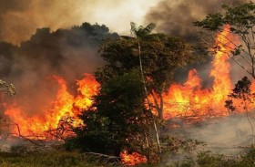 الحرائق تسمم الهواء في الأمازون 