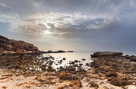 جزيرة صير بو نعير ..الملاذ الآمن لنوادر الكائنات الحية