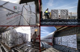 الفارس الشهم 3 ..وصول طائرة مساعدات إلى العريش محملة بـ100 طن لدعم أهالي غزة ضمن (جسر حميد الجوي)