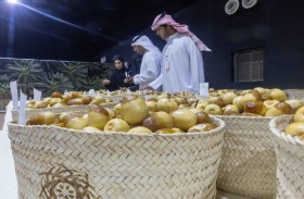 من ليوا إلى العين والوثبة.. تحكيم الرطب يعزز الممارسات الزراعية المستدامة