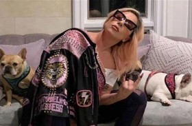 ليدي غاغا في ورطة بسبب كلابها