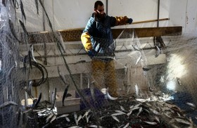 لماذا كل هذه الضجة حول سفن الصيد...؟