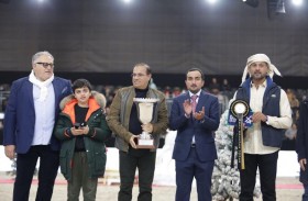 مربط دبي يتصدر الجمال العالمي بذهبيتين وبرونزية ويحتفظ بألقاب الأفضلية في الإنتاج 