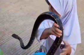 طفلة تخرج ثعبانًا ضخمًا من حقيبتها المدرسية 
